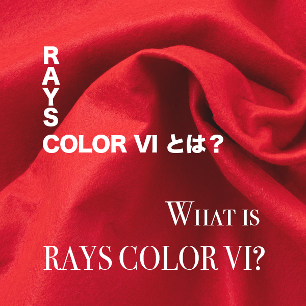 RAYS COLOR VIとは？